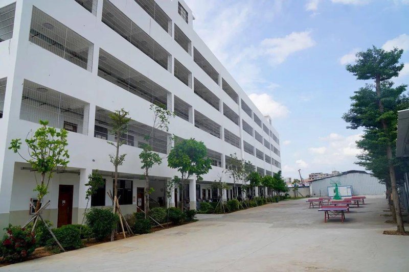 中小学辅导：教育新风尚