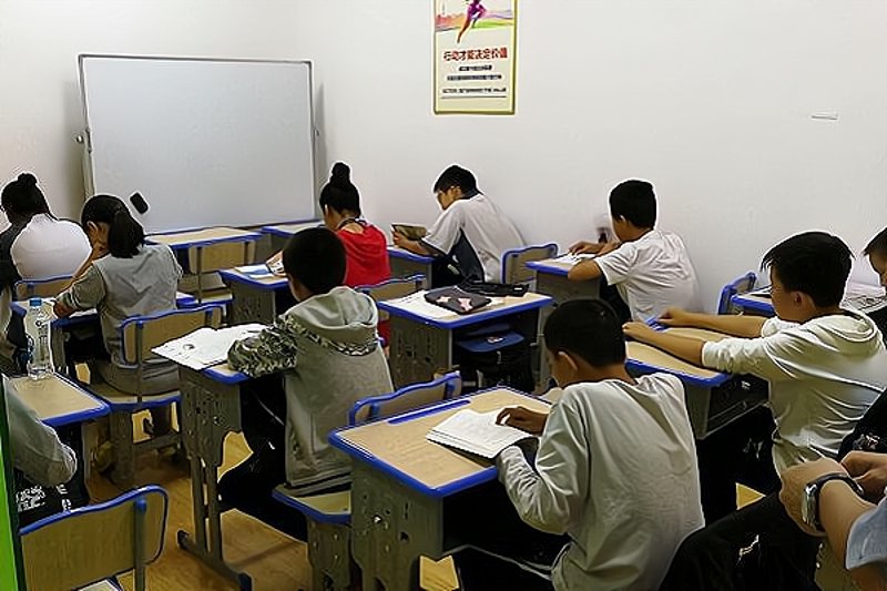 中小学辅导：开启未来之门的钥匙